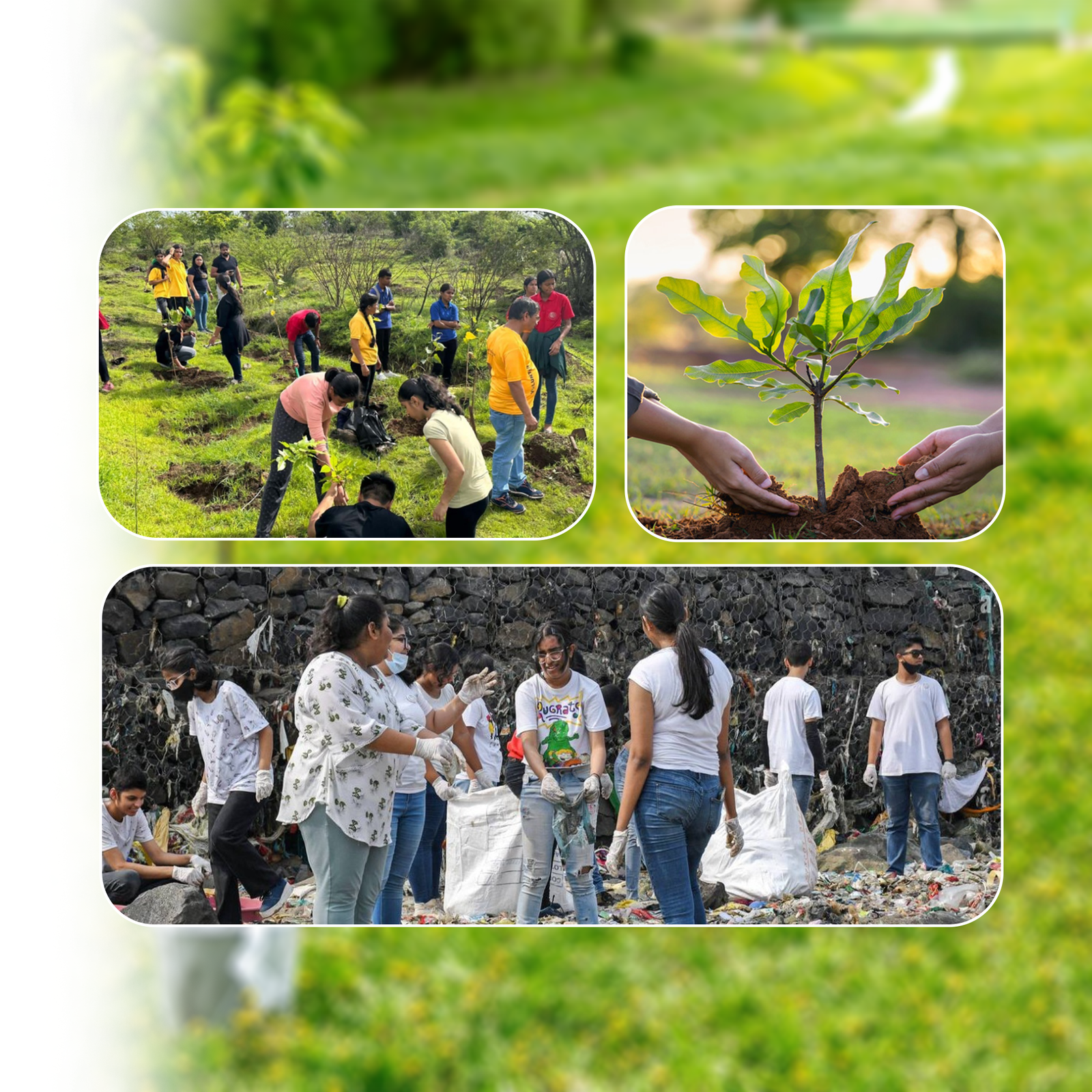 Contribution of Rohit Tilak in Environment